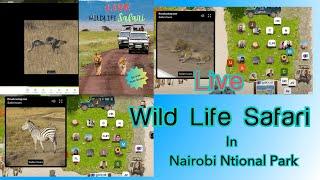 Live Wildlife Safari, by GoLocal Virtual Events