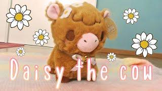 Daisy the cow by Afternoon Fika 