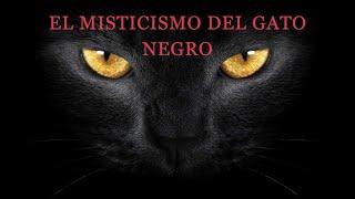 Esta es la RAZÓN por la cual las BRUJAS usan a los GATOS NEGROS