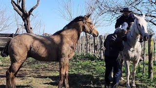 Un dia de trabajo en el campo, fuimos a buscar el overo y el potrillo 