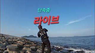 24.09.09 월요일 아침은 새만금 삼치와 함께