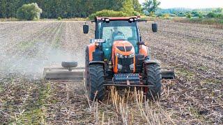 Kubota + Technopol PT-6 aprítóhenger | Napraforgó száraprítás a Kond-Coop Kft.-nél