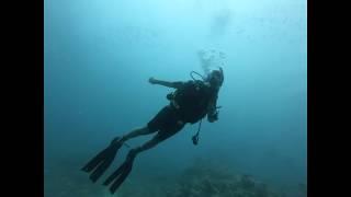 Diving with Nomanism 20-04-2018