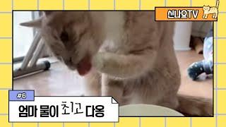 [신나요TV] #6 엄마 물이 최고다옹