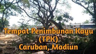 Ada kenangan masa silam Di TPK (tempat penimbunan kayu) Caruban