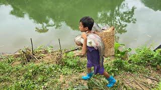 Catfish fishing skills, highland boy Khai caught 10kg catfish to sell, fishing with plastic bottles