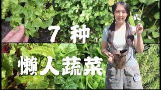 【菜园子10】7種懶人蔬菜--種菜必备的几种菜 | 7 easy grown vegetables | 逛菜园