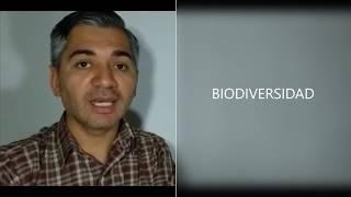 Relación entre los seres vivos y el ambiente / especie, población y biodiversidad.