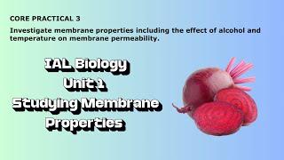 IAL Biology Core Practical 3: Investigating membrane properties