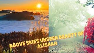 Unseen Beauty  of Alishan: Unveiling Taiwan's Natural Beauty / "阿里山奇觀：揭開台灣自然之美