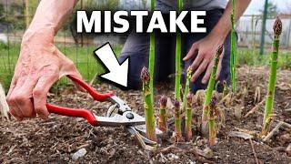 You’re Killing Your Asparagus if You Do This, 5 MISTAKES You Can’t Afford to Make Growing Asparagus