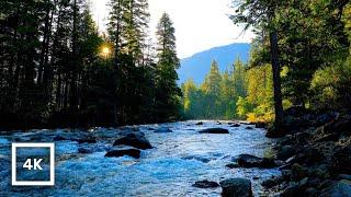 4K Peaceful Merced River Sunrise Ambience | Water Sounds White Noise | Yosemite National Park