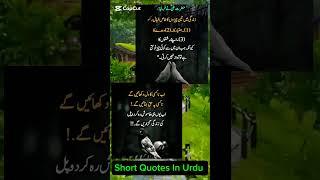 Deep lines || interesting facts || golden words || urdu quote || urdu poetry ||#shorts #hazratali