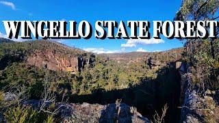 Wingello State Forest- Let's do This#travel #adventure #hiking