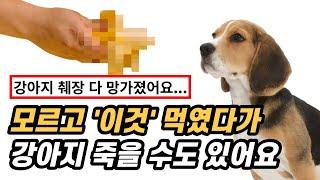 강아지가 먹으면 안되는 음식 17가지