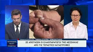 Σχολιασμός Mesogeiostv για ζημιές στις ελαιοκαλλιέργειες της Μεσσηνίας - Τι κάνει το Υπουργείο...