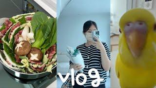 일상 vlog | 집들이 하는날 | 멀리서 와준 고마운 친구들️ | 집들이 대표메뉴 밀푀유나베 만들기