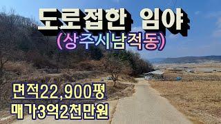 (1021)상주시내 7km 거리 넓은 임야 매매.면적 22,900평.농림지역,보전관리지역 1/2 씩 혼재. 매매가 3억2천만원/경북 상주시 남적동