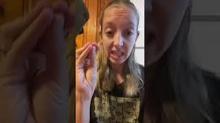 A funny video #junebugthetexasheeler #jasonbankscomedy #funny #thatsmydog #fyp #fypシ #jesuslovesyou