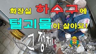 화성시 반월동 공장 화장실하수구막힘 | 하나로설비