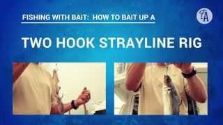 BAIT FISHING: How to put on bait 2 hook strayline rig with pilchard, squid, jack mackerel