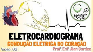 SISTEMA CIRCULATÓRIO (CONDUÇÃO ELÉTRICA) - SÉRIE: ELETROCARDIOGRAMA - VÍDEO 2