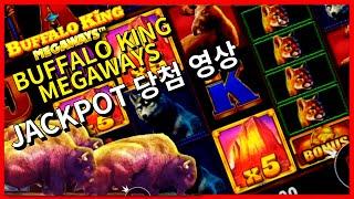 [슬롯][영웅호걸] 버메가 484배 글자로도 잭팟 먹을 수 있냐고요? 네! 가능합니다!  : Buffalo King Megaways