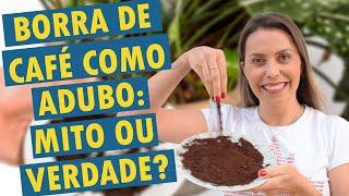 BORRA DE CAFÉ como ADUBO | Aprenda como usar