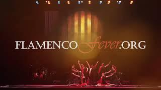 "Memorias Flamencas"  Excerpt Solo Quiero Caminar Flamenco Dallas