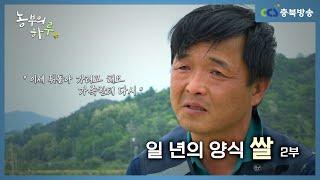 [농부의 하루 48회] 일 년의 양식 쌀 2부