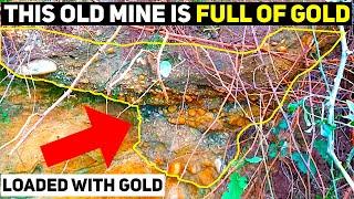 Explore a Hidden Gold Mine In An Ancient Buried River