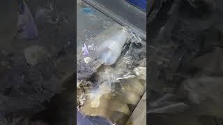 Plastic cup shredding