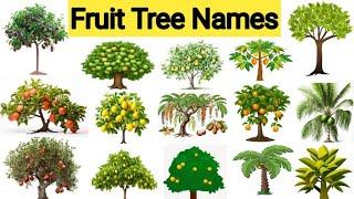 Fruit tree names || Fruit trees vocabulary || Fruit tree names in english ||