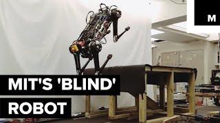 This 'Blind' Robot Can Jump On Your Table And Chase You In The Dark Even When Its Leg Is Broken