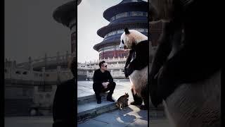 The Temple of Heaven in Beijing. #pandachina #elonmusk#spacex #beijing #panda #panda #chinesepanda