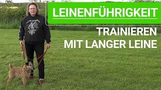  Leinenführigkeit trainieren, mit langer Leine! ️ Praxisvideo ️