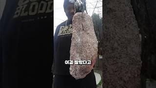 이걸 바른 바베큐를 램지가 인정했다고?