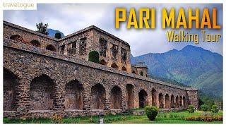 Walking through Pari Mahal in Srinagar | Pari Mahal walk tour #parimahal