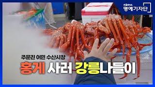 [한국철도Ⅹ홍윤이네] 홍게 사러 강릉나들이 #KTX이음 #만종역