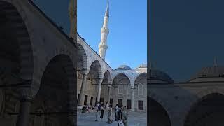 Blue Mosque / Sultan Ahmed Mosque in Turkey  #turkey #travel #bluemosque #shorts