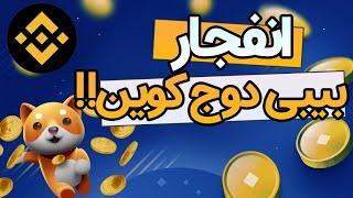 انفجار احتمالی بیبی دوج با لیست شدن در صرافی بایننس!!