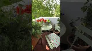 Scenes of my little green space. More on the Vlog whenever possible! #balconygarden