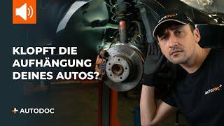 Die 5 häufigsten Gründe für eine klopfende Aufhängung | Tipps von AUTODOC