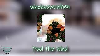 Ben Kestok - Feel the Wind