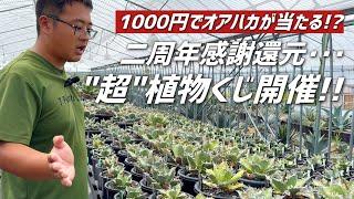 【祝二周年】還元率◯◯◯%以上の大人気"植物くじ"が再び登場!!