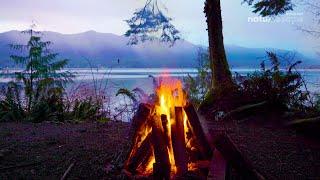 ULTRA 4K Cozy Fire Crackling Campfire by The Lake/ Calming Sounds Of Nature 1 HOUR NON STOP