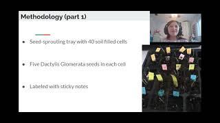 The Effect of Stimulants on Dactylis glomerata