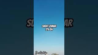 Al Quran surat zumar ayat 29-34 #youtube #ytshorts #youtubeshorts #engineermuhammad #youtubeapp