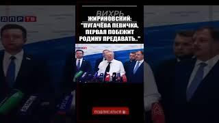 ЖИРИНОВСКИЙ ЧТО-ТО ЗНАЛ #shorts #жириновский #россия #russia #лдпр #putin #путин