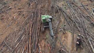 Logging in Western Oregon